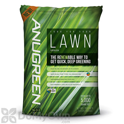 The Best Fertilizers For St Augustine Grass Lawn And Petal
