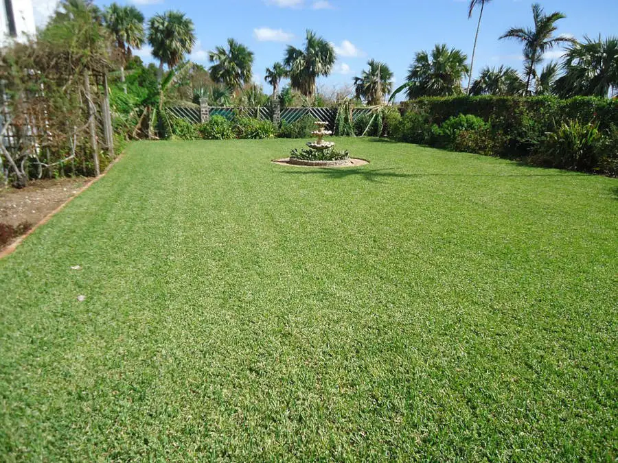 how-to-seed-a-new-bermuda-lawn-lawn-and-petal